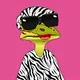 Fred The Crypto Frog
