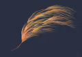 Sparky Fractals