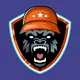 Apes Culture Limited