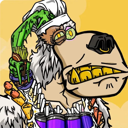 CooL DoggS NFT
