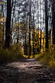 landscape2222
