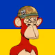 Ukraine Bored Ape NFT