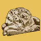 Emirate Lions