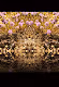 CRYPTOCELIUM #01