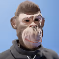 The Stranger Ape