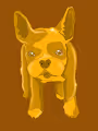 Pop Doggle Collection
