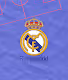 Real Madrid Trading Card (Polygon)