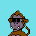 Monkeyz on Matic