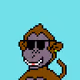 Monkeyz on Matic