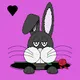 Jeannot the rabbit