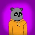 Solar Watcher Pandas