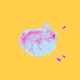(cozaco)'s Hamster Art Collection