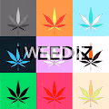 Weediz