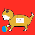Shibas Collection