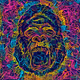 Gorilla Collection 321