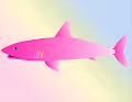 The rise of sharks