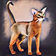 All cats in the world