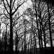 Untitled Collection #436675753