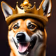 Dogeens