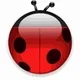 The Ladybug