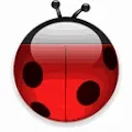 The Ladybug