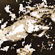 Artistic Polygon Horse Collection