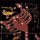 zodiac collection70