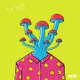Lysergics Mushrooms