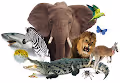 3D Animal kingdom