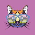 Matic Cats