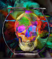 Funny Fortune Skulls