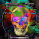 Funny Fortune Skulls
