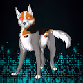 Dogs  NFT