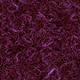 The Purble