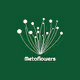 Metaflowerss