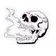 Skellection