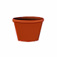 Potted Pals - 420