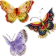 Colorful Butterflies Clup