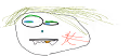 Doener Zombies