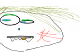 Doener Zombies