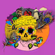 Intense Skully Collection