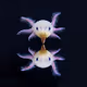 #water world