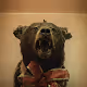The Oddish Lot