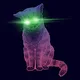 Night Devil Cat