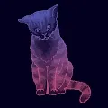 Night Devil Cat