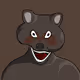 World of Racoons