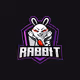 Rabbits girl