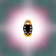 Matryoshka Valley