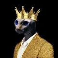 BigCat_Sphynx