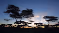 NATURE, BEAUTY AND PEACE